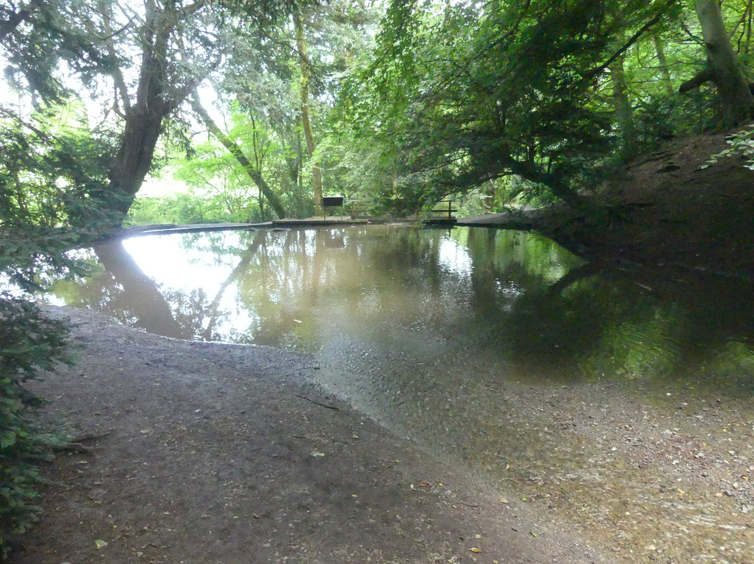 Rectory Wood & Field景点图片