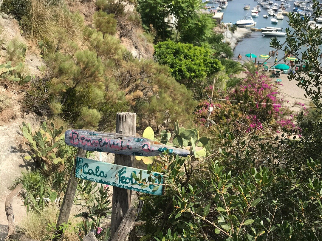 Cala Feola景点图片