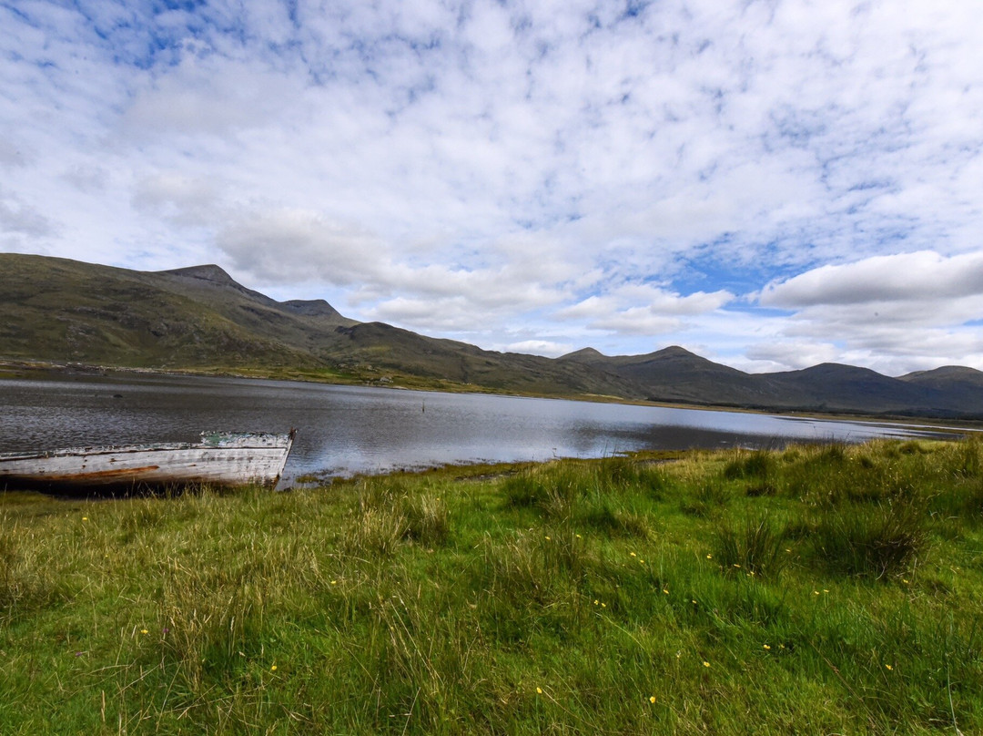 Wild About Mull Wildlife Tours景点图片