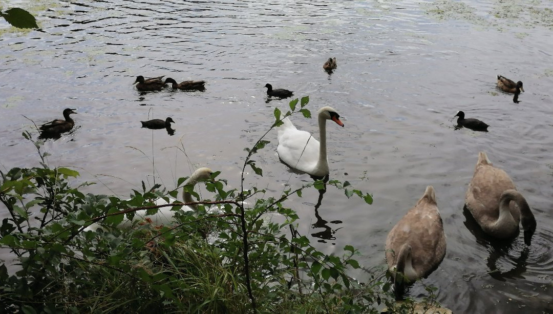 Les Etangs De Commelles-Coye-la-Foret必去景点