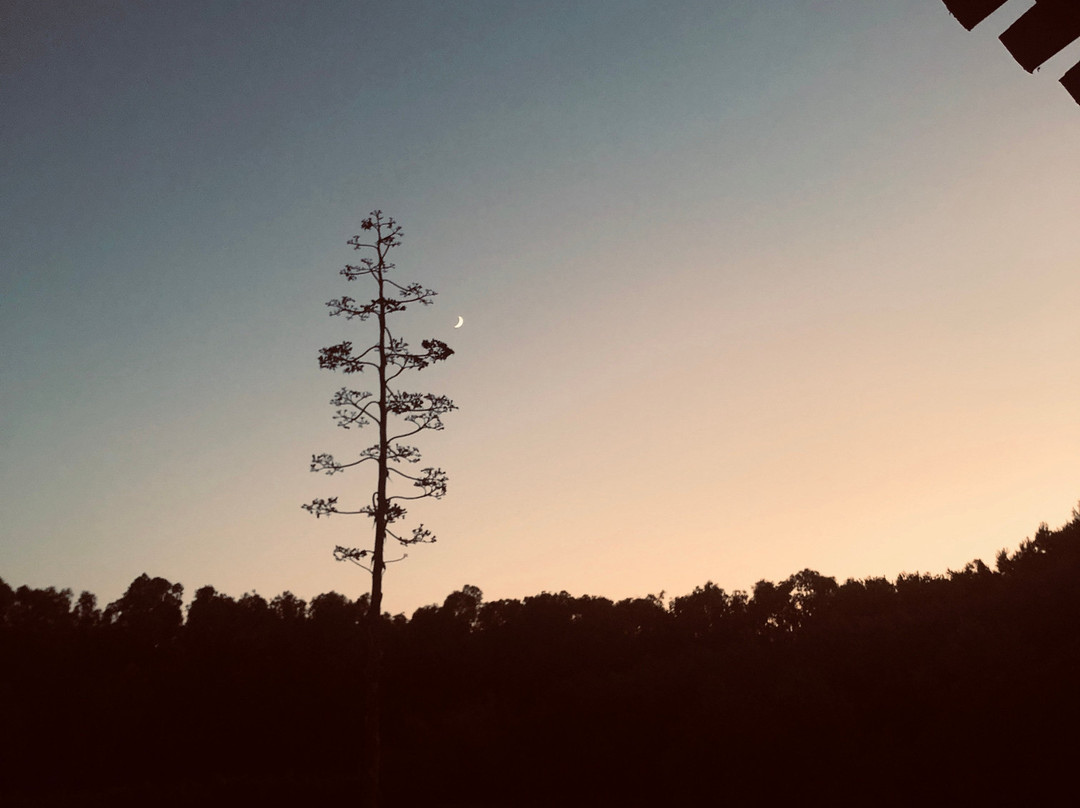 Agriturismo Saboriantigu主图