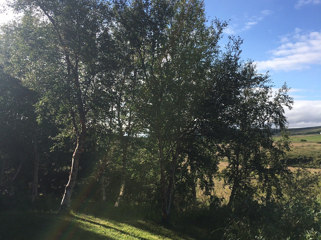 CJA Guesthouse主图