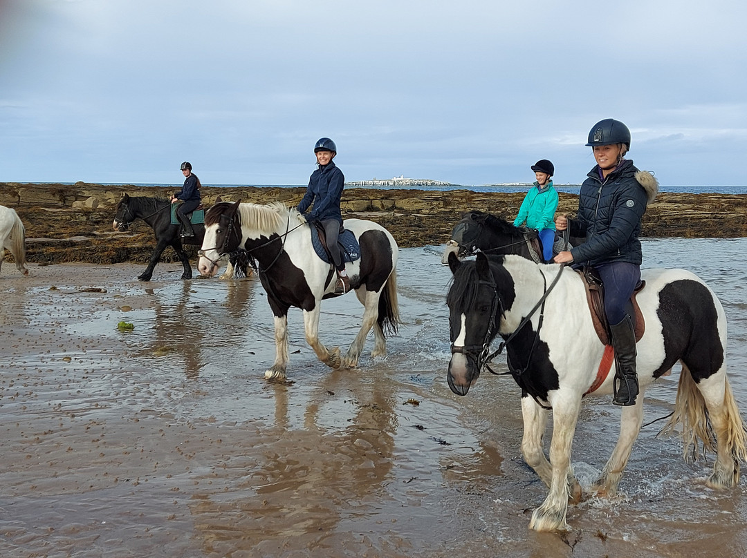Slate Hall Riding Centre-Seahouses必去景点