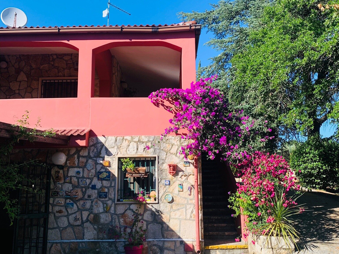Villa Dan Casa Vacanze主图