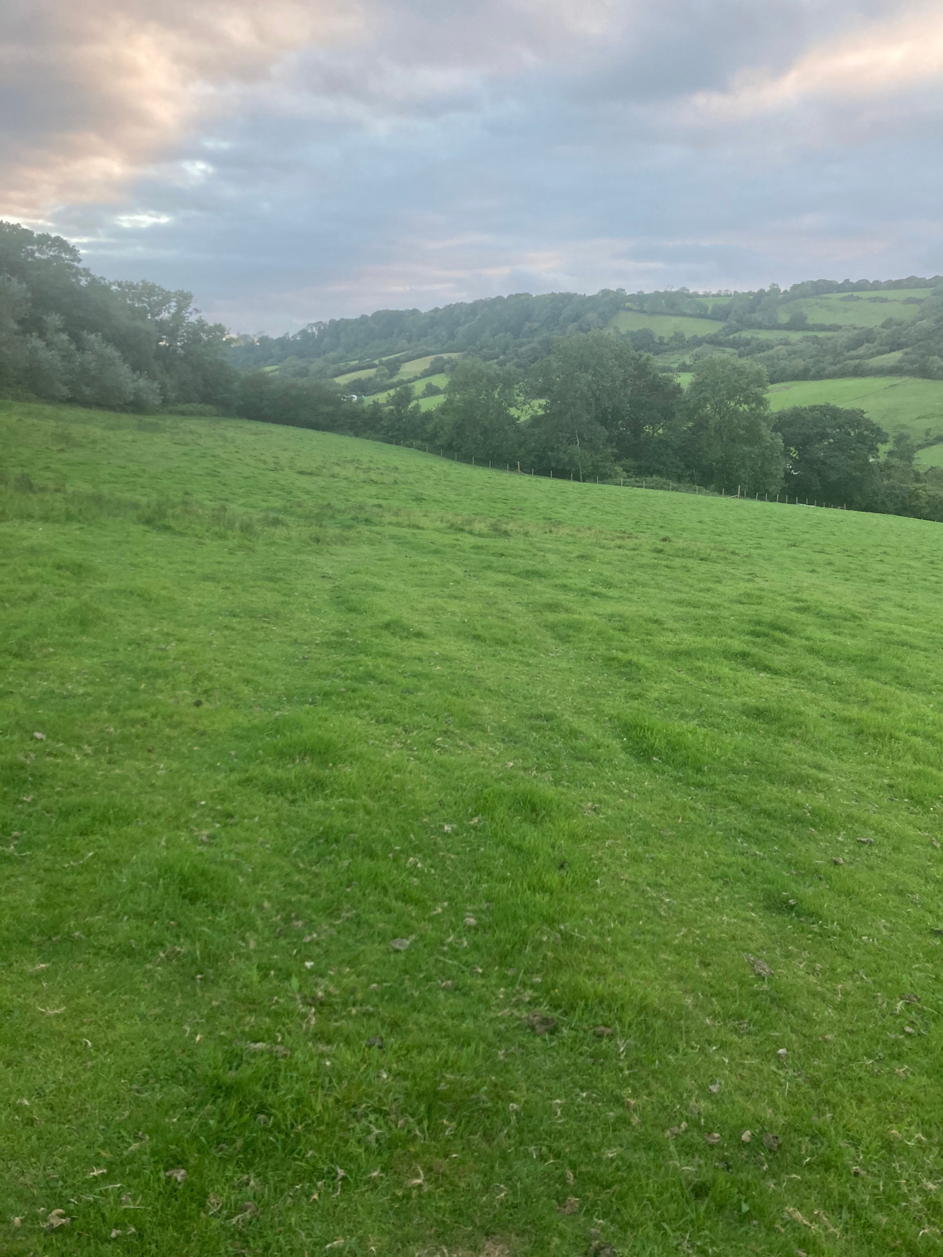 Mincombe Barn Bed & Breakfast-官方