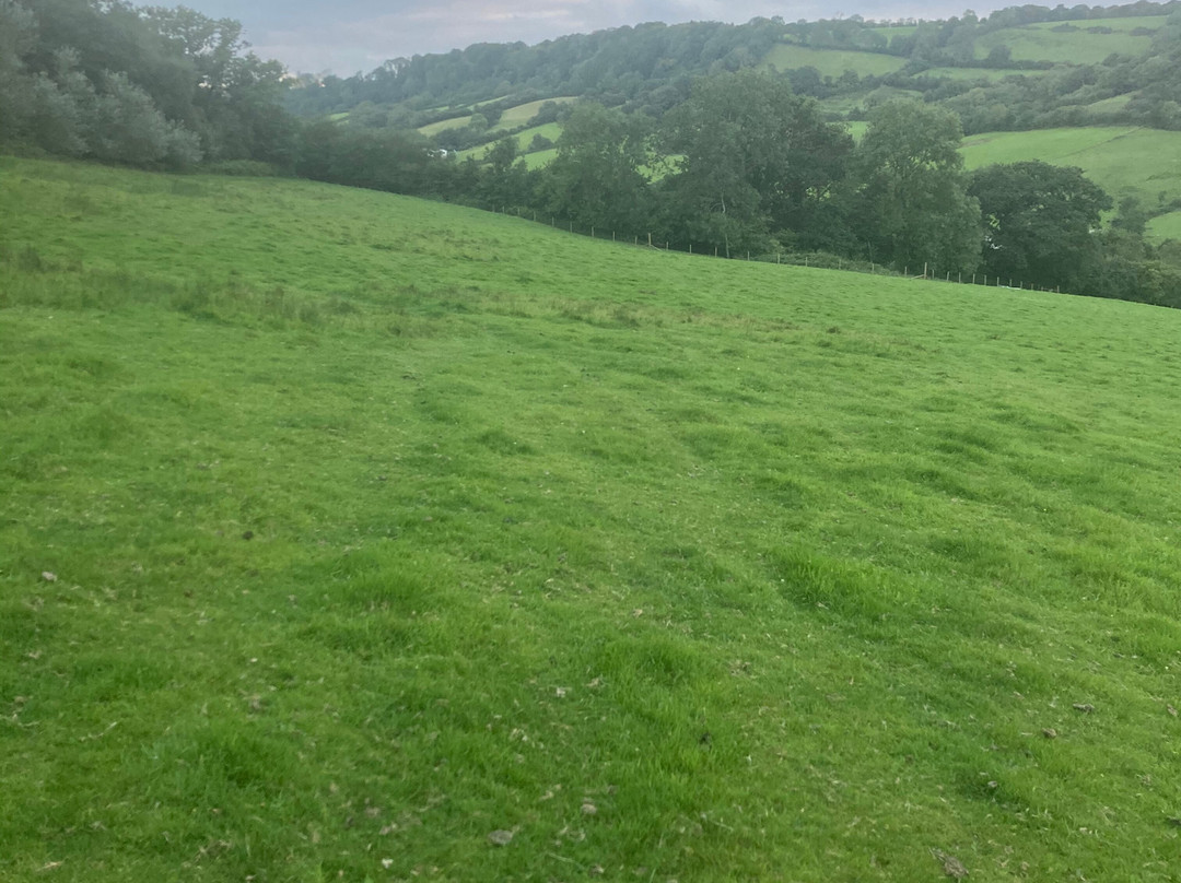 Mincombe Barn Bed & Breakfast主图