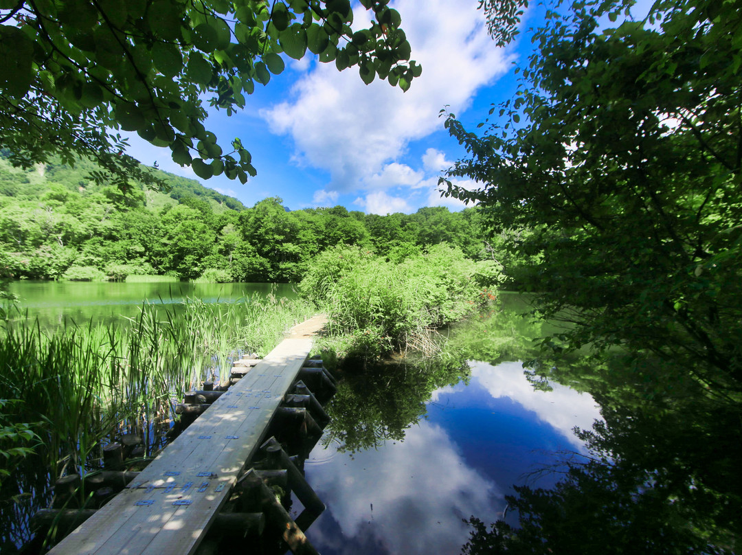 Kamaike Pond景点图片