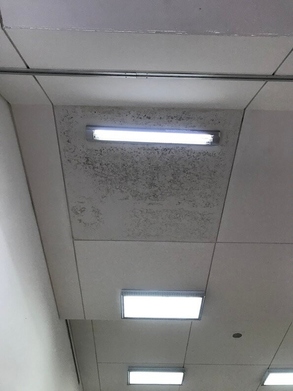 Leonardo Plaza Cypria Maris Beach Hotel & Spa主图