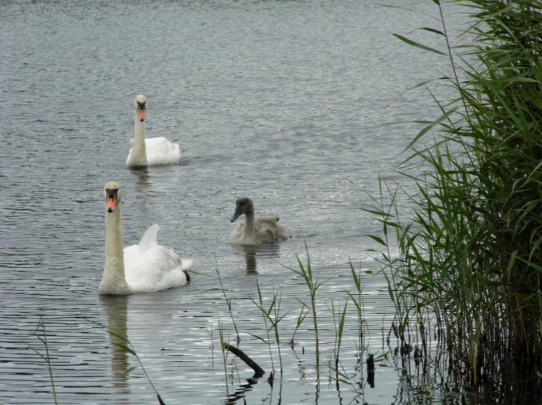 Welsh Wildlife Centre-Cardigan必去景点