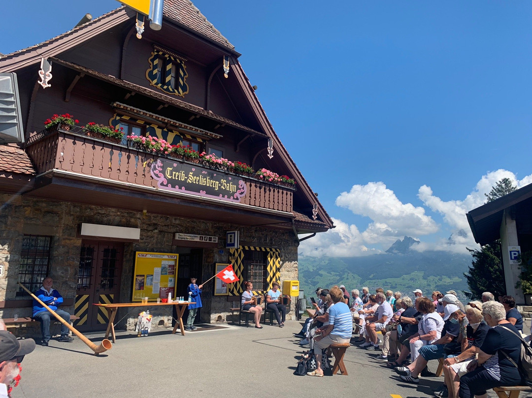 The Swiss Path-Seelisberg必去景点