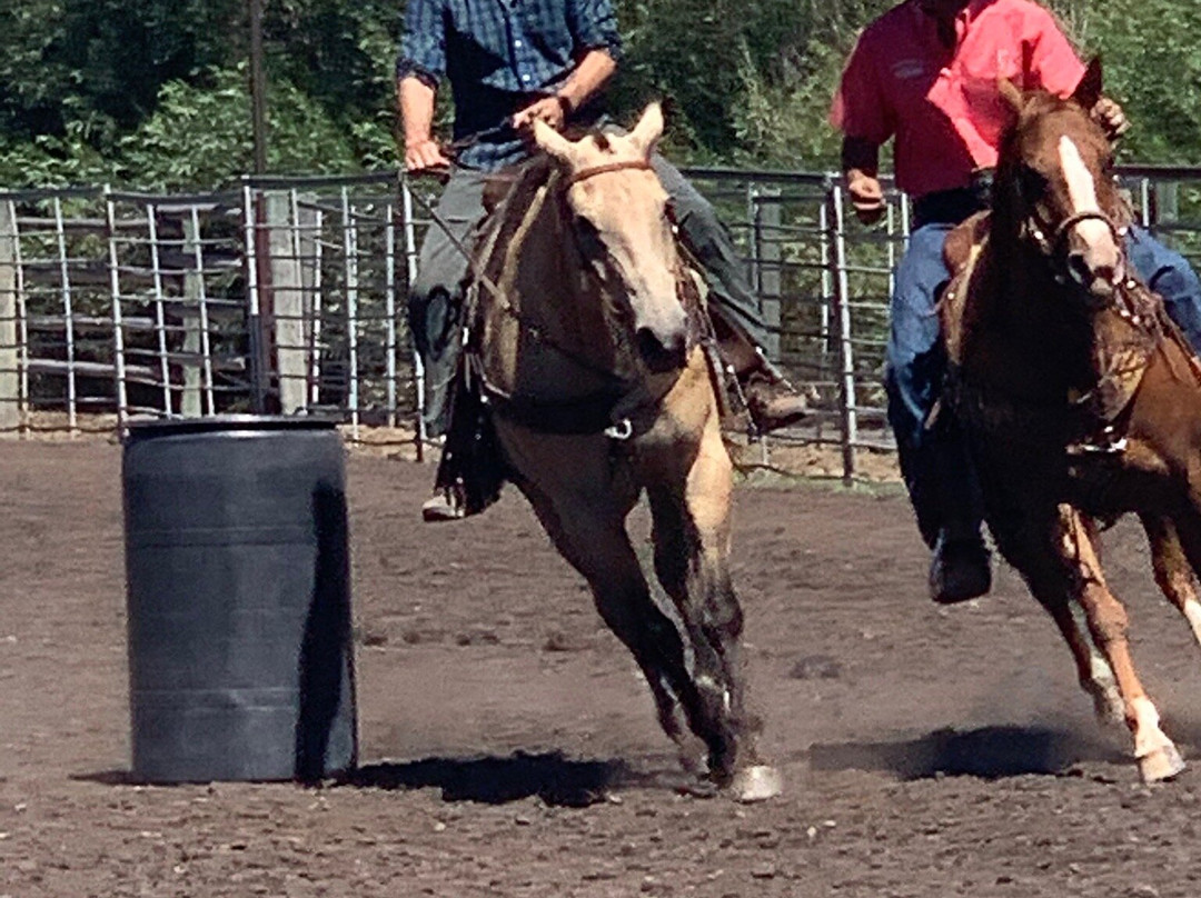 Introduction To Rodeo-威尔逊必去景点