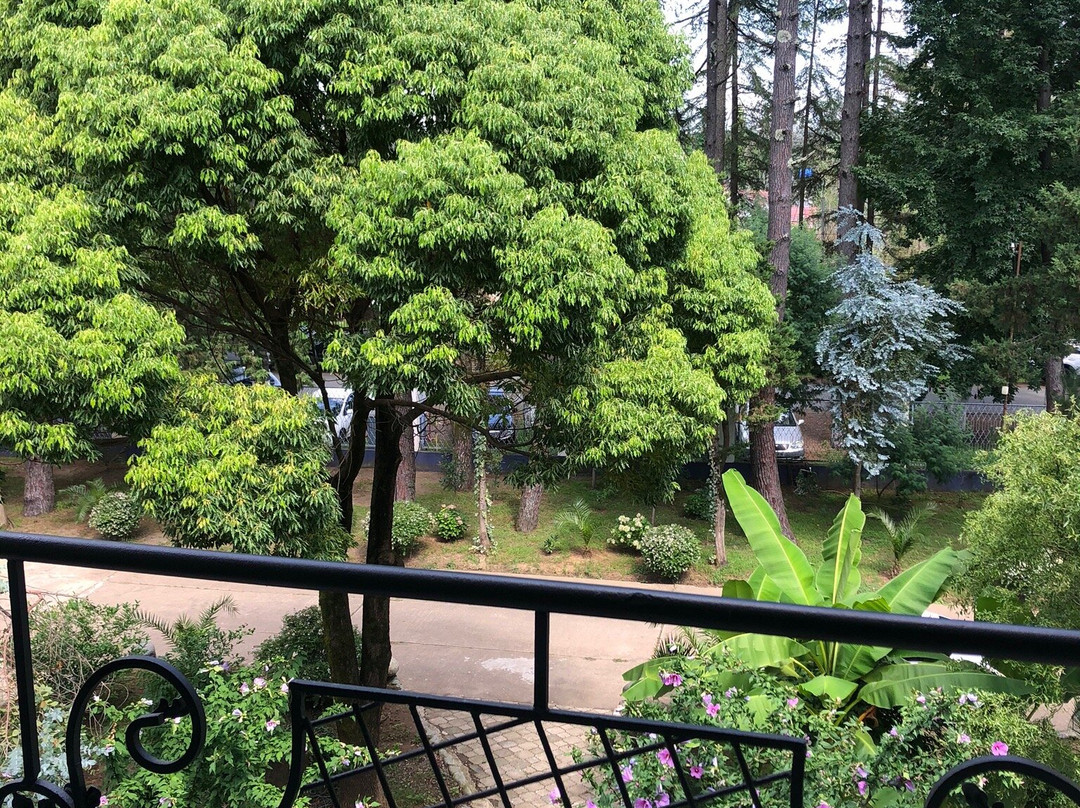 Kolkhida Resort & Spa主图