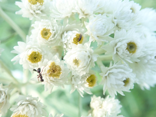 Wakami Lake Provincial Park-Sudbury必去景点