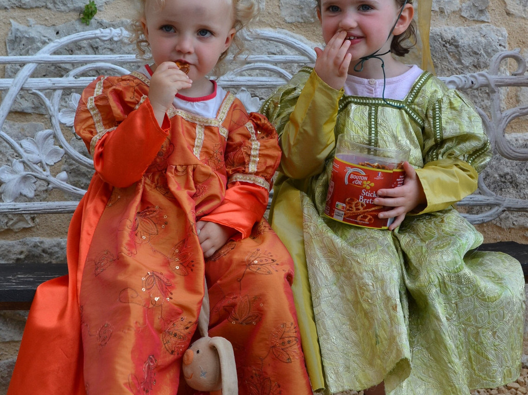 Chateau De Goudourville主图