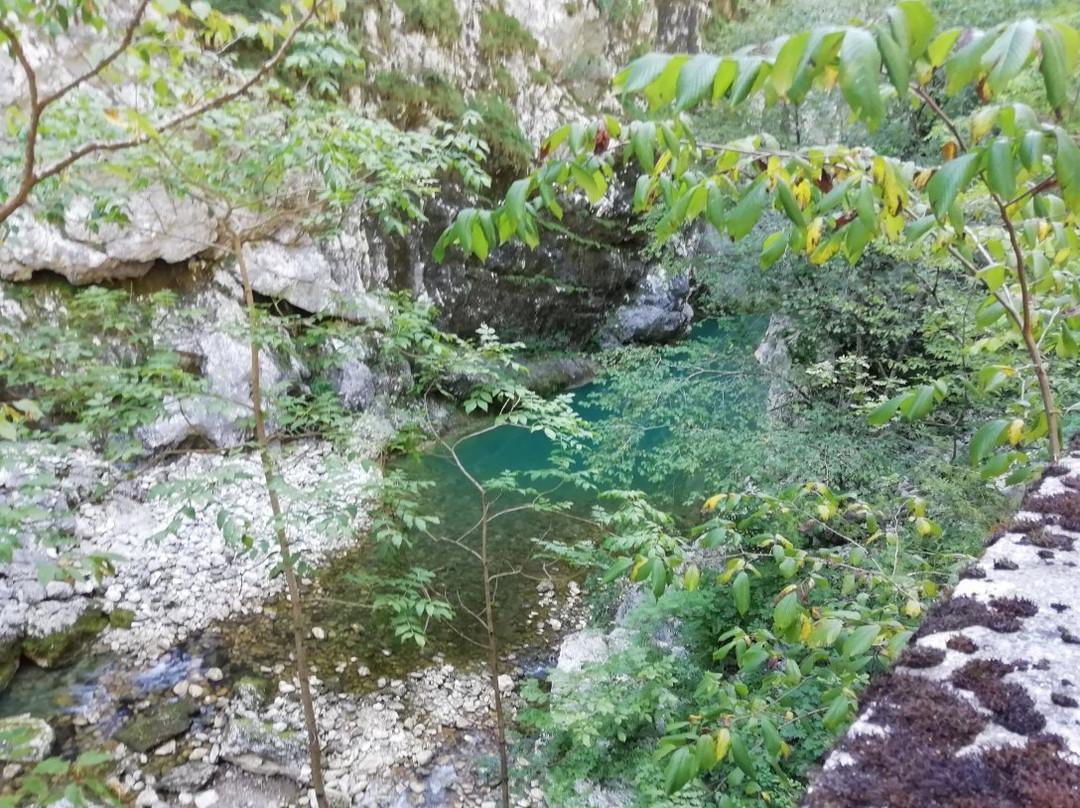 Natural Reserve Ravin of Cellina景点图片