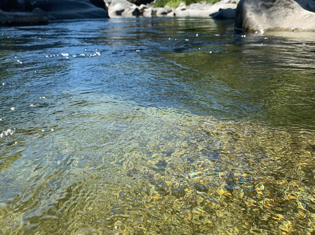 South Yuba River State Park景点图片