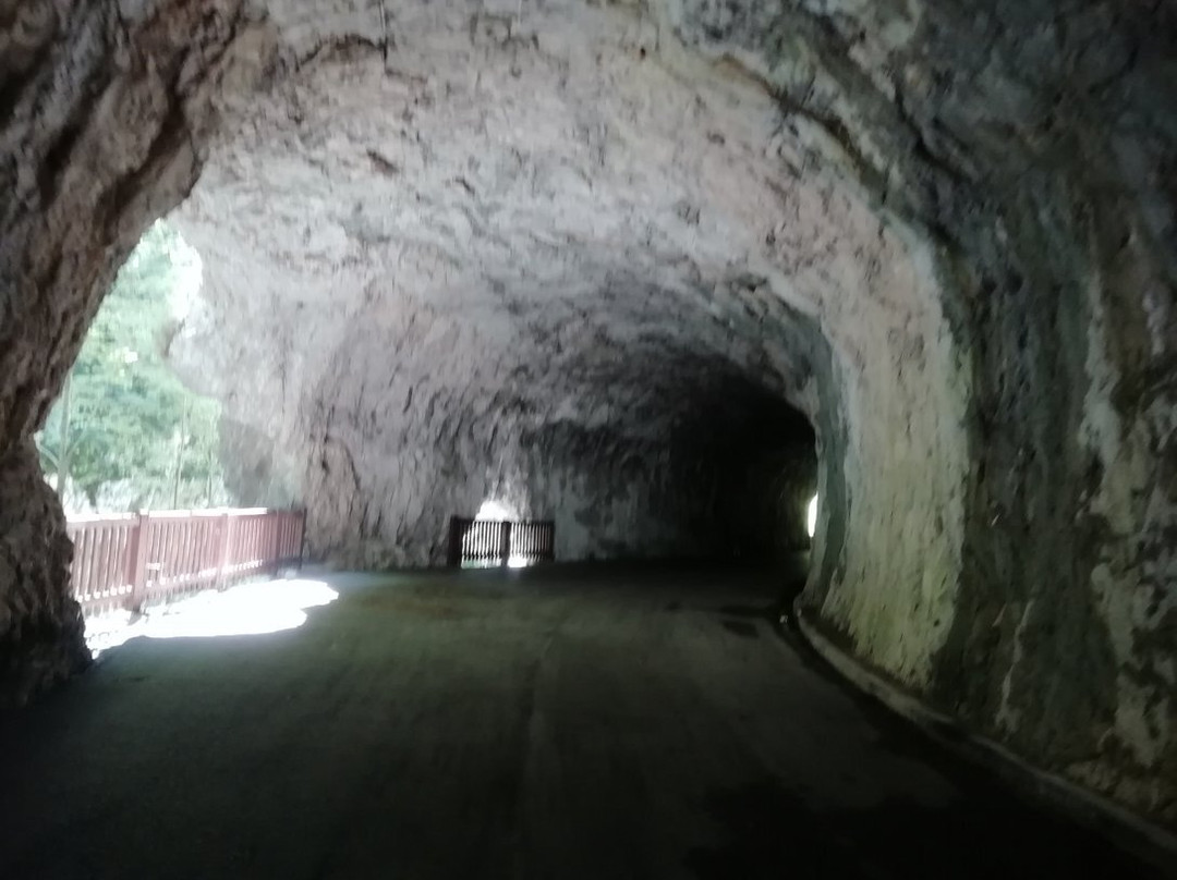 Natural Reserve Ravin of Cellina景点图片