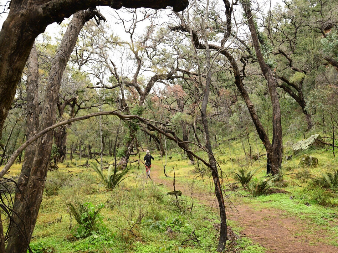 Dandry Gorge Aboriginal Area景点图片