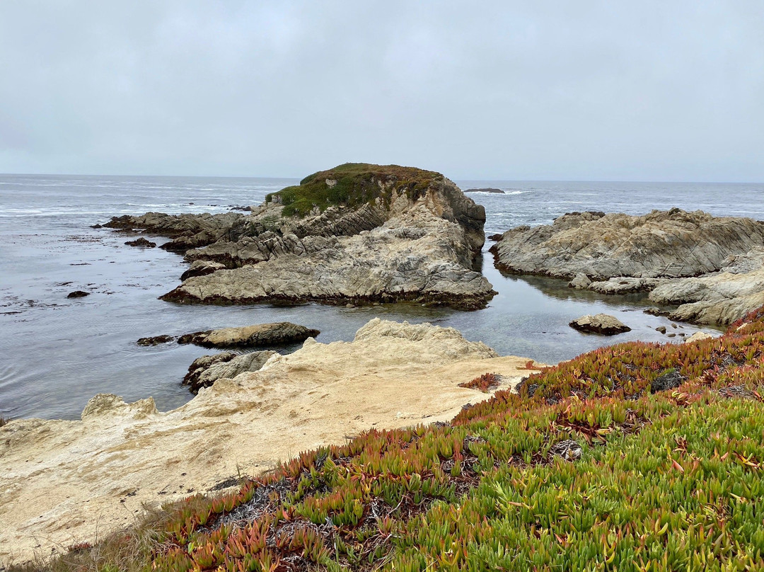 Cypress Point Lookout-圆石滩必去景点