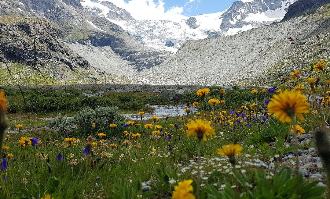 Moiry Glacier景点图片