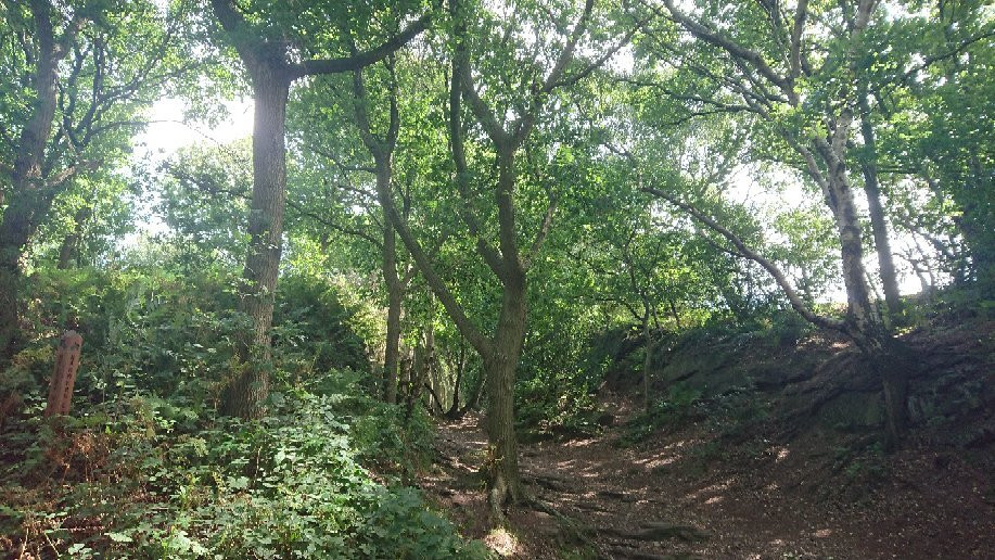 Helsby Hill-Helsby必去景点