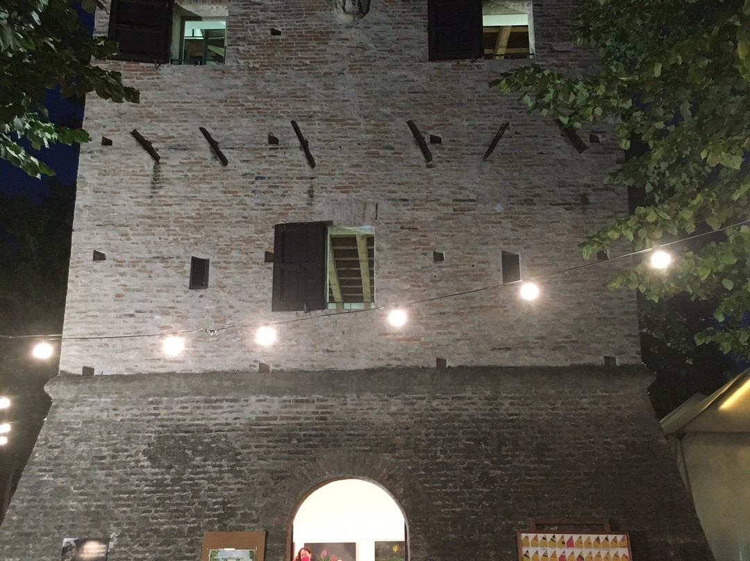 Museo delle Conchiglie景点图片