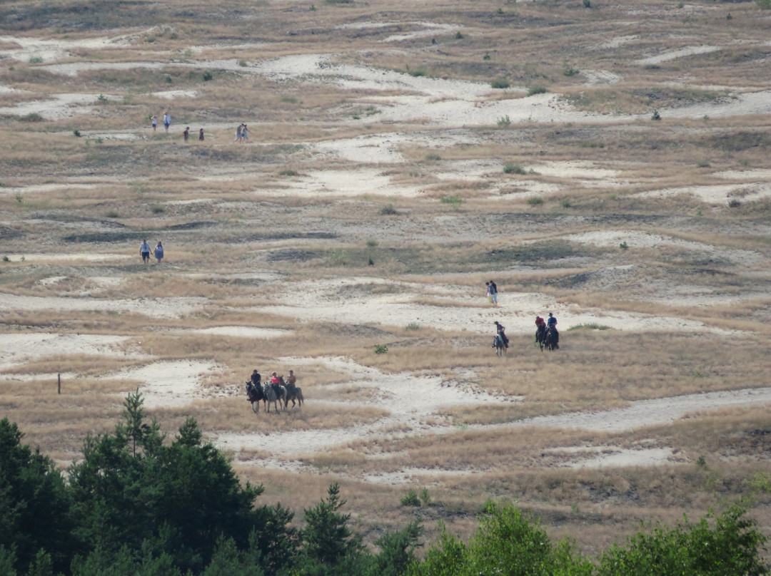 Viewing Platform on Czubatka景点图片