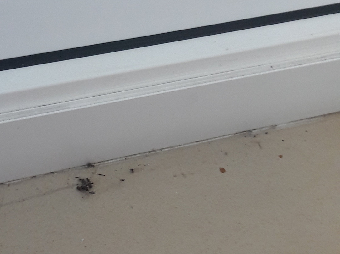 Iordan Guest House主图