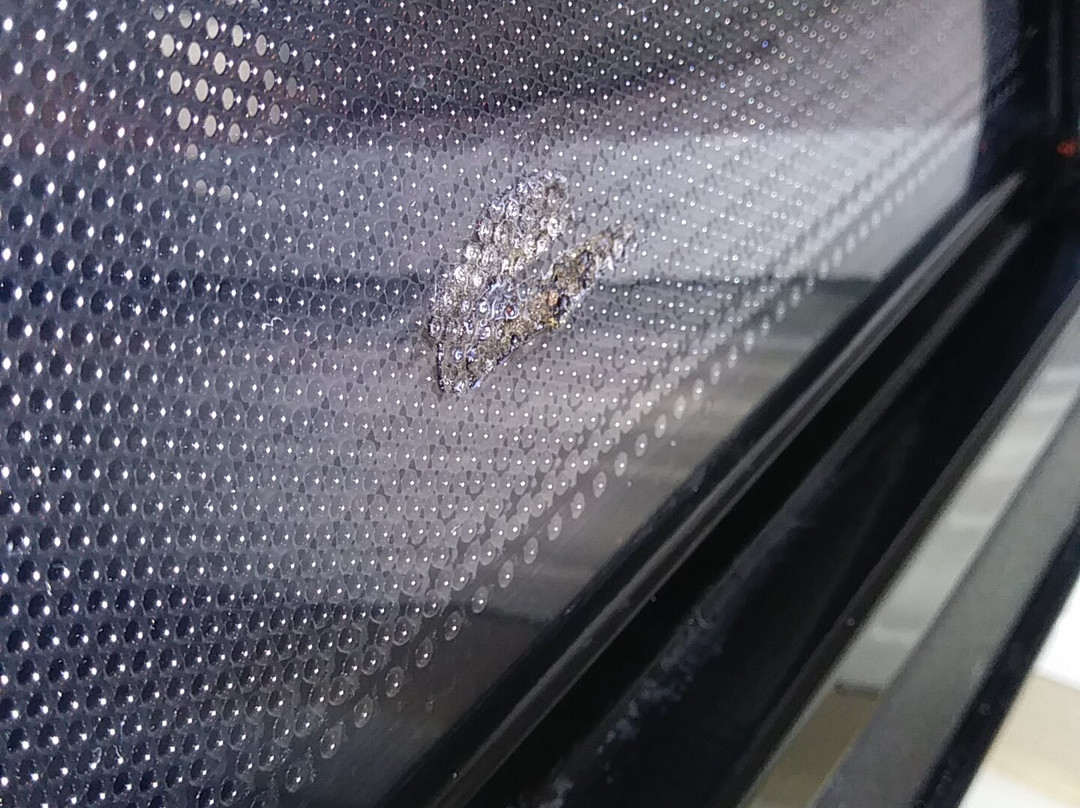 默弗里斯伯勒速8酒店主图