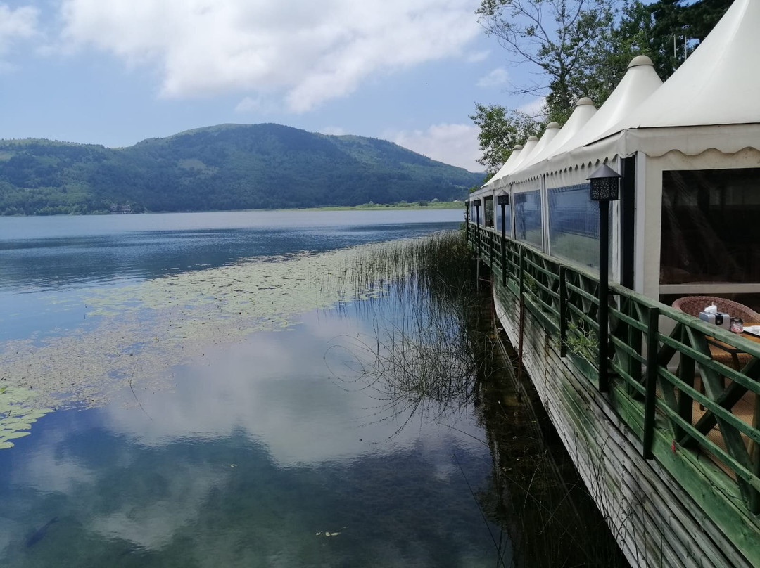 Grand Abant Hotel (Buyuk Abant Hotel)主图