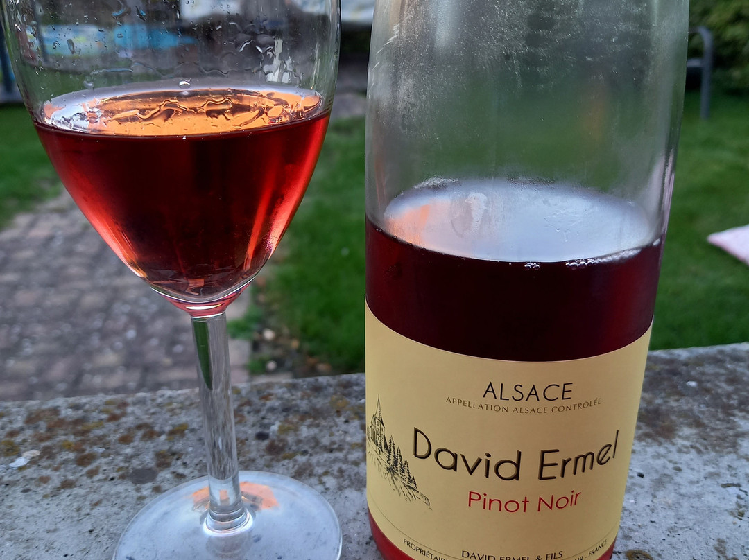 Domaine David Ermel & Fils景点图片