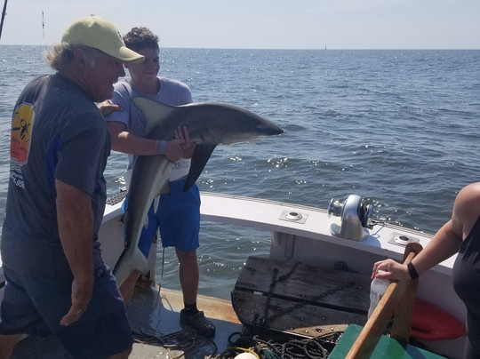 Wise Fishing Charters-美特尔海滩必去景点