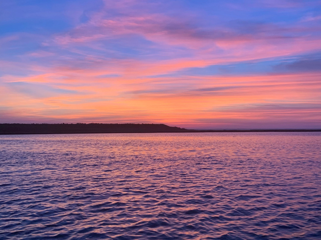 LBI Boat Tours景点图片