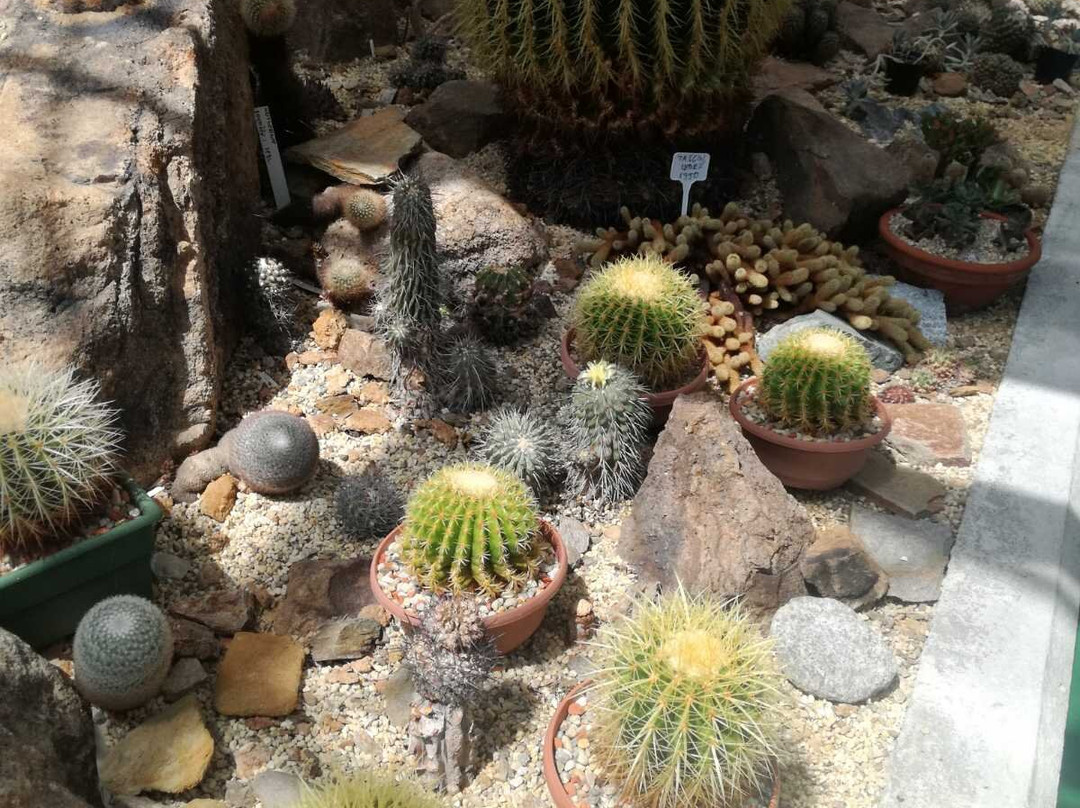 Cacti Pavilion-Rogaska Slatina必去景点