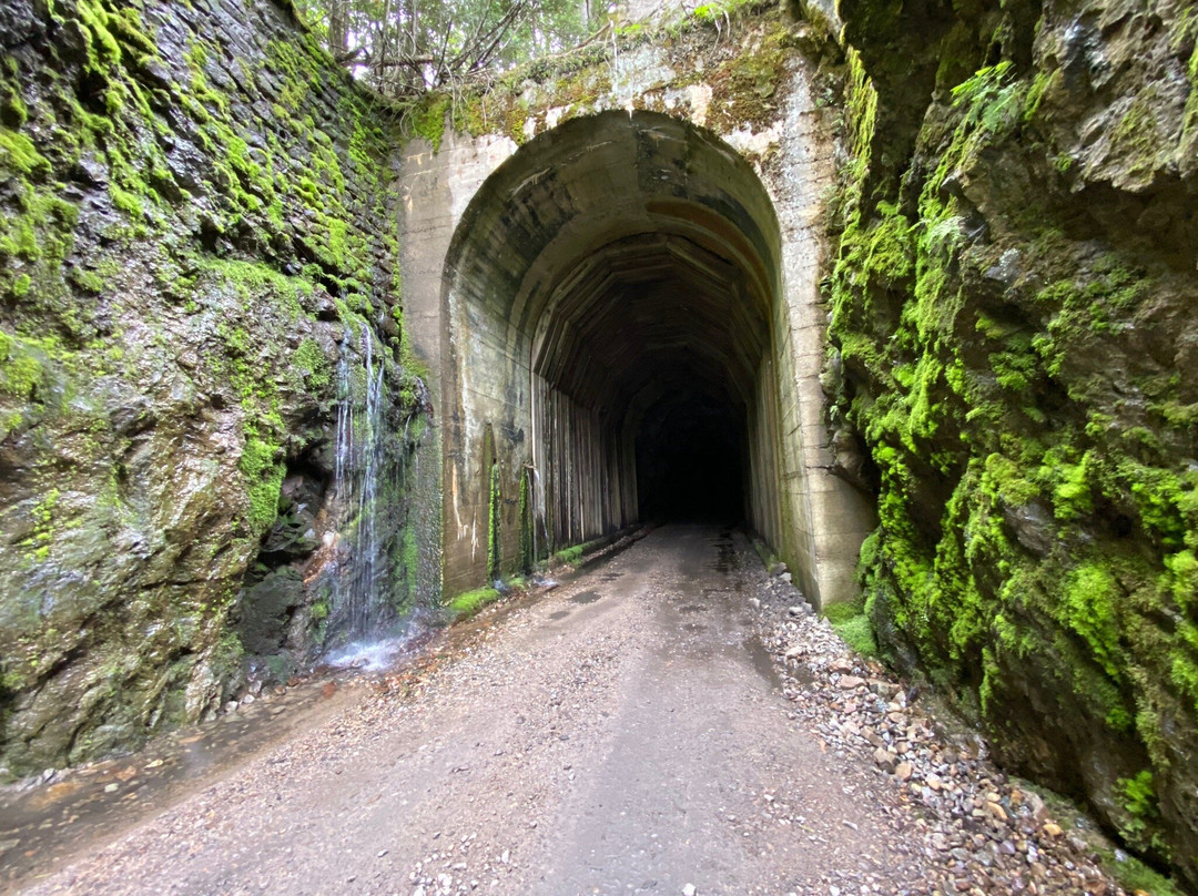 Columbia and Western Rail Trail景点图片