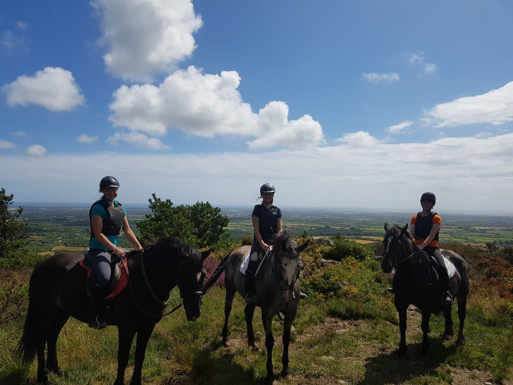 Kingsford Language and Equestrian Centre景点图片