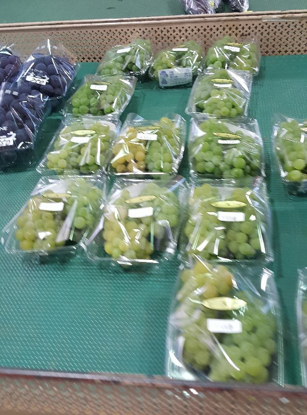 Chikatsu Asukanosato Michi-no-Eki-太子町必去景点