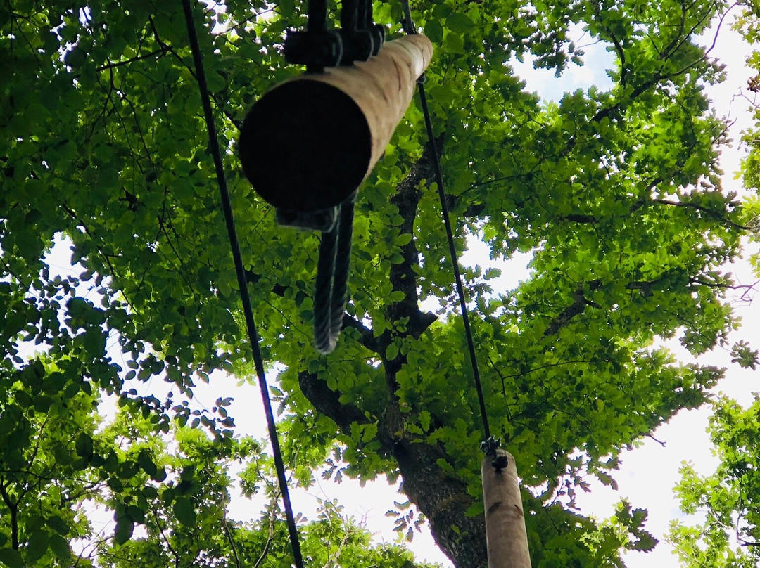 Acrogivry "L'Aventure en Forêt"景点图片