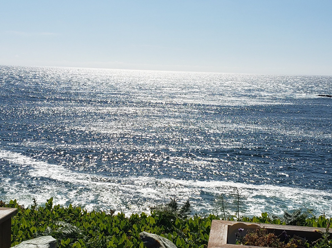 An Ocean Paradise Whales Rendezvous主图