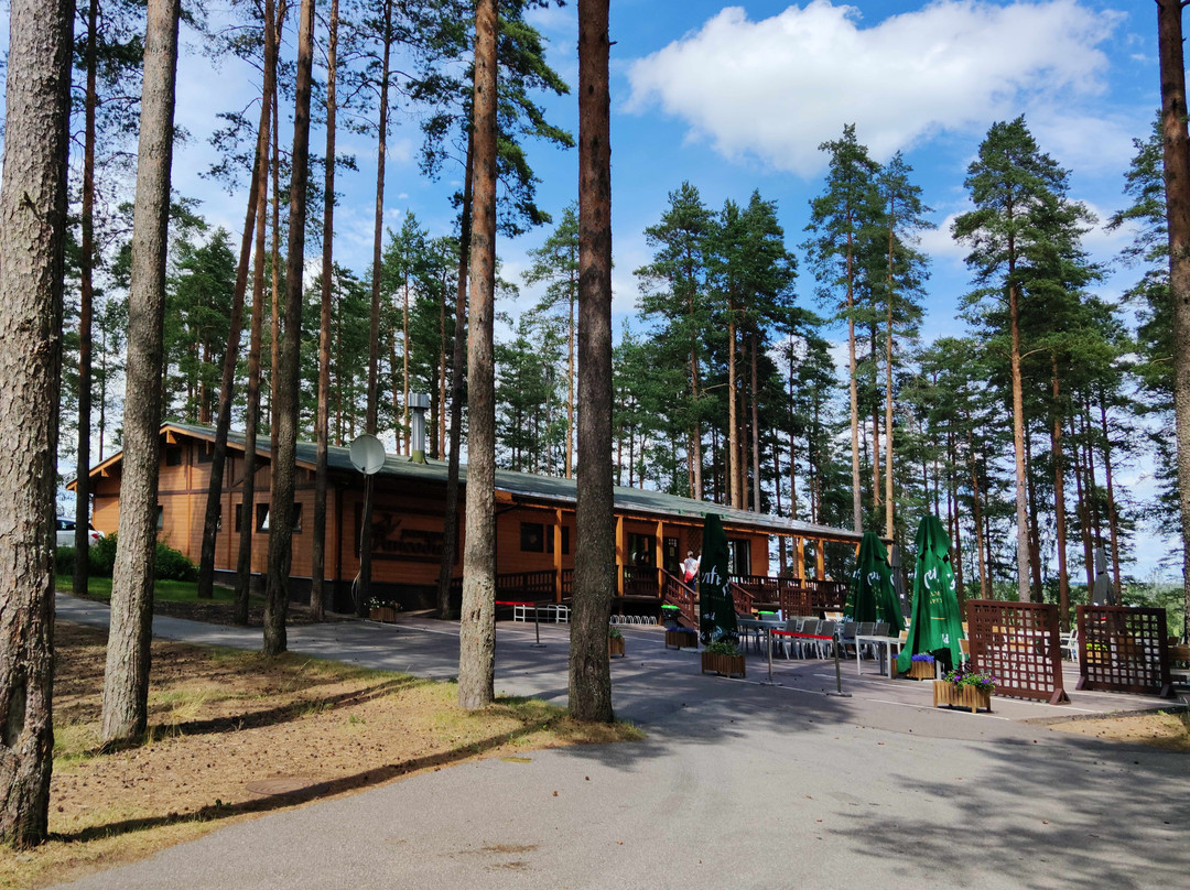 Lesnaya Rapsodiya主图