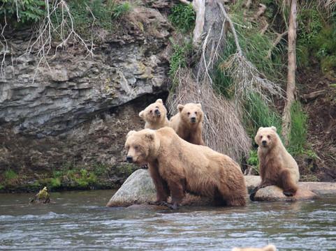 Adventure Airways-荷马必去景点