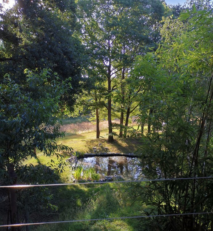 D'une Autre Nature主图