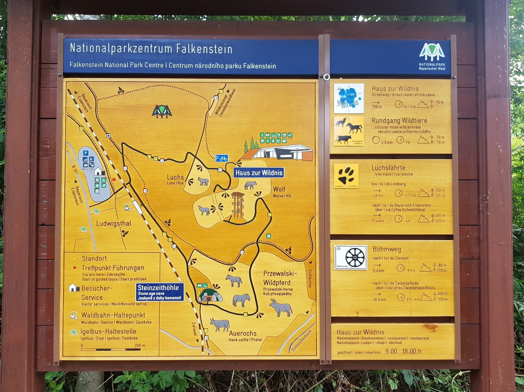 Nationalparkzentrum Falkenstein景点图片