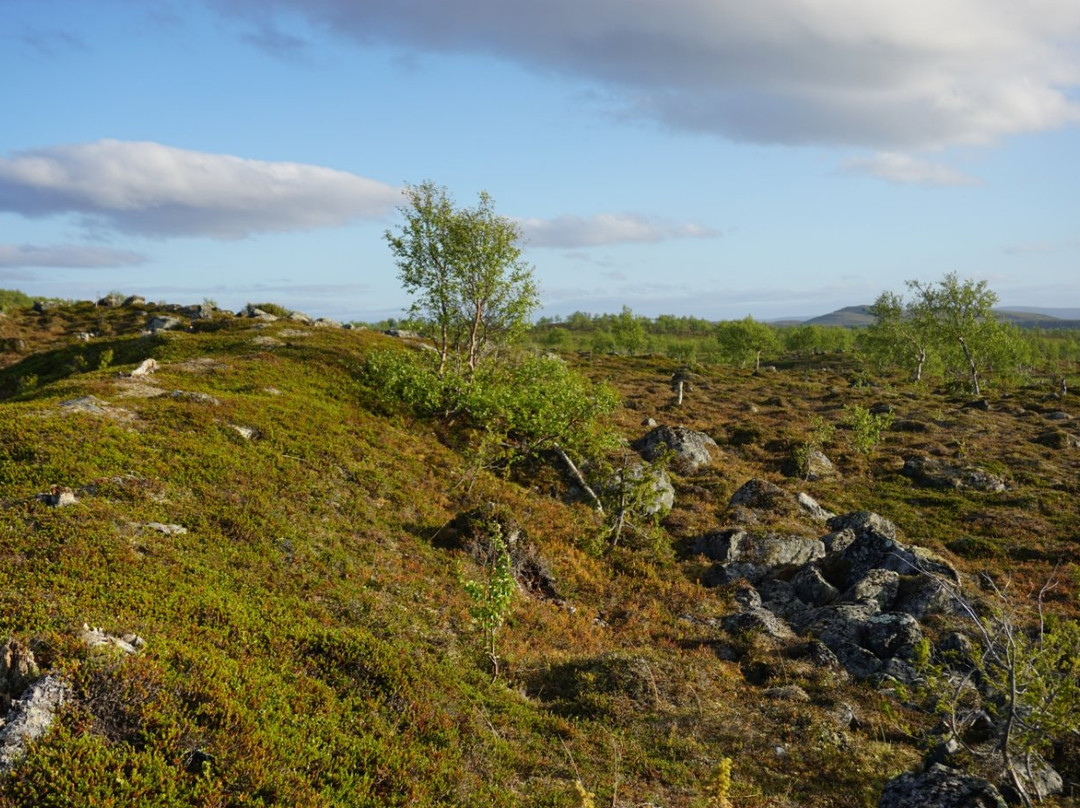 Kaldoaivi Wilderness Area-Utsjoki必去景点