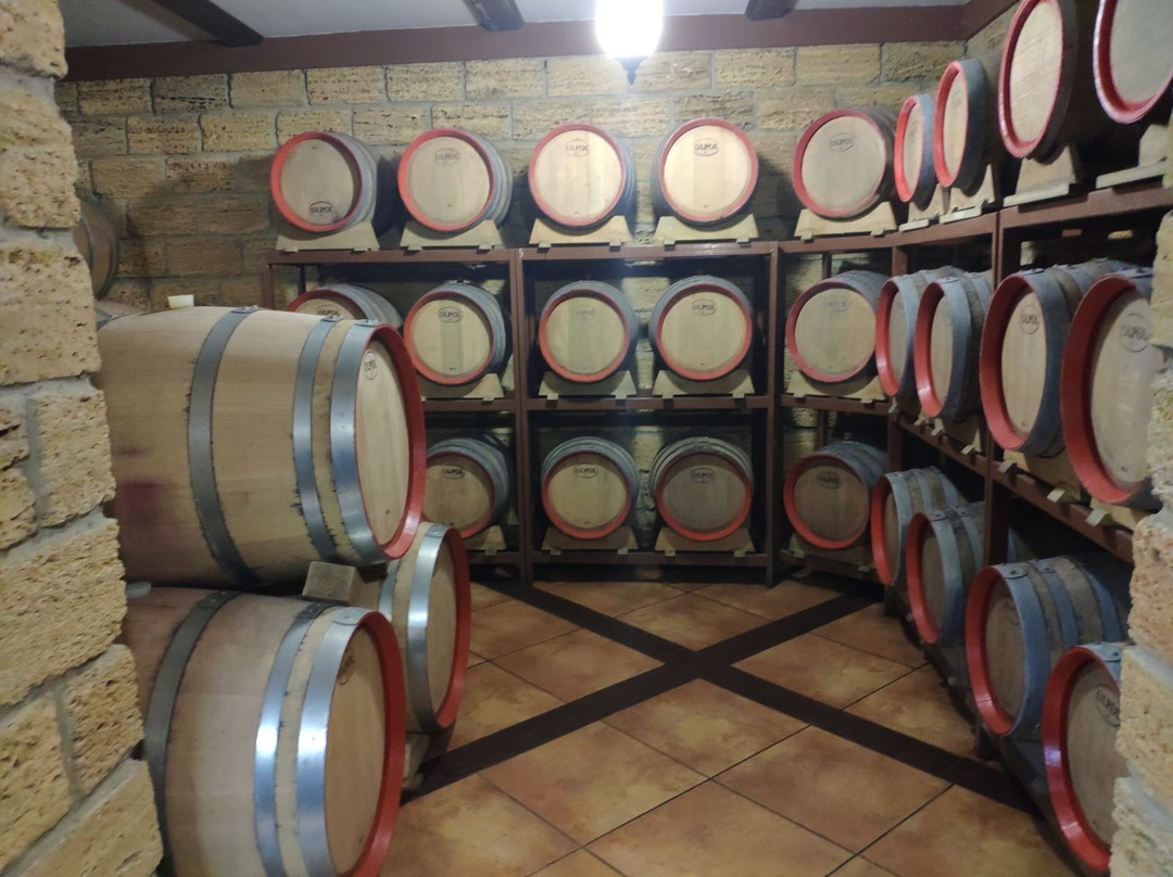 Winery Natalia and Maryana Shevchenko-Bilyayivka必去景点