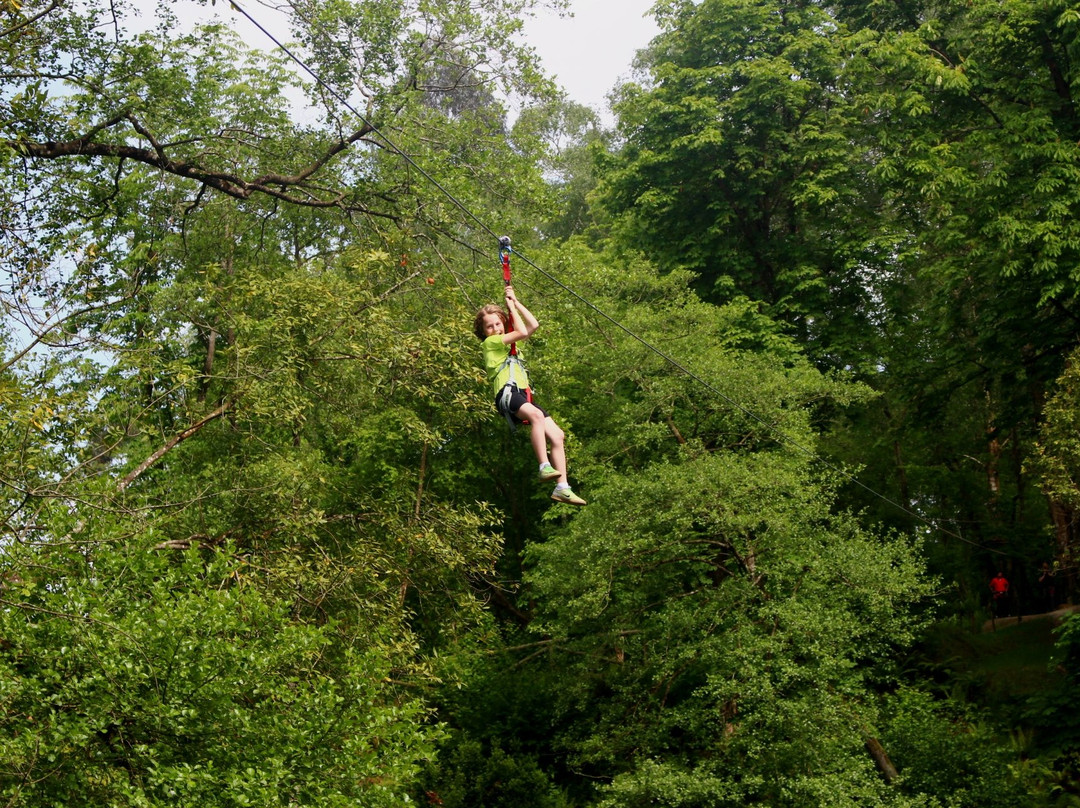 Selva Asturiana Aventura en Llanes-La Pereda必去景点