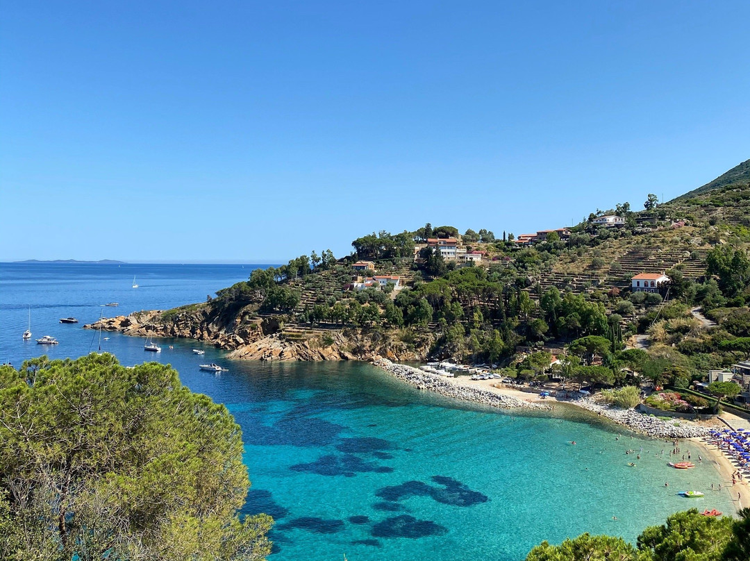 Spiaggia delle Cannelle景点图片