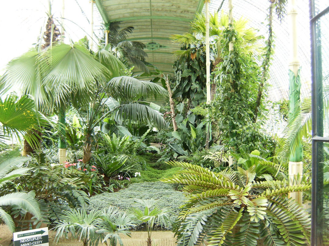 Castle Greenhouse-莱德尼采必去景点