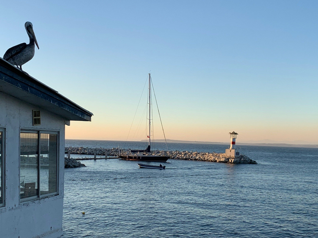 Caleta Higuerillas-比尼亚德尔马必去景点