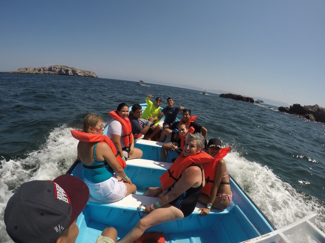 Find & Live Vallarta-瓦拉塔港必去景点